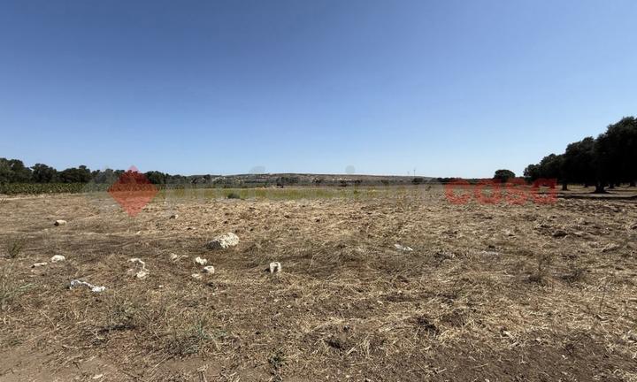 Terreno Agricolo Faggiano [Cod. rif 3259159VCG]