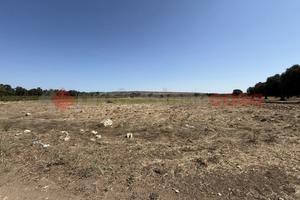Terreno Agricolo Faggiano [Cod. rif 3259159VCG]