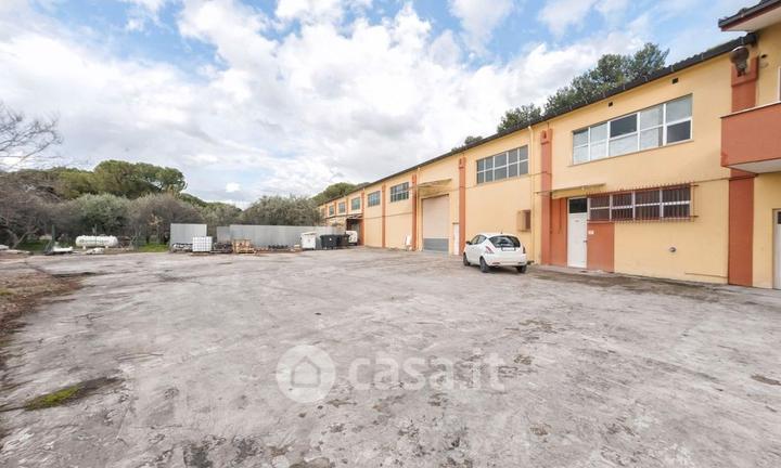 Fabbrica del cioccolato