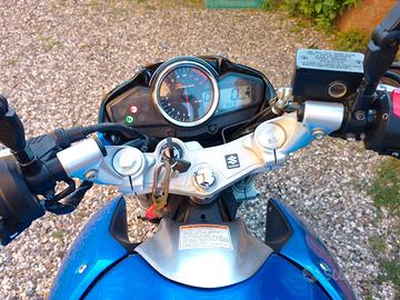 Suzuki Inazuma