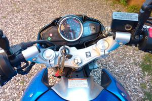 Suzuki Inazuma