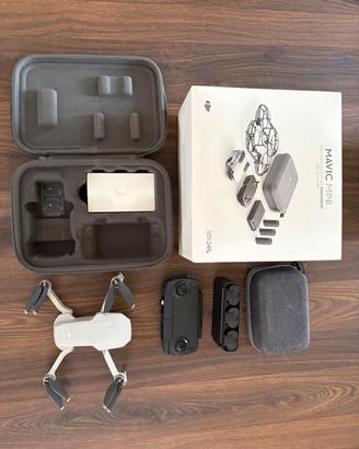 Dji mavic mini
