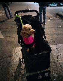 passeggino per cani 