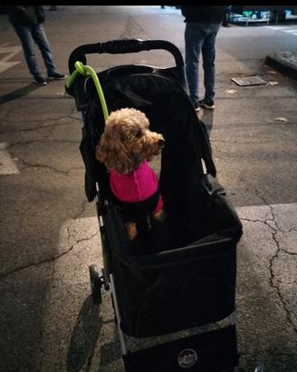 passeggino per cani 
