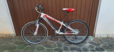 Bicicletta ragazzo 