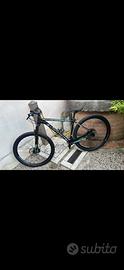 Bici bianchi
