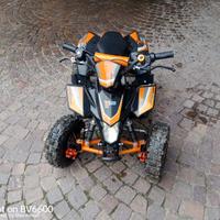 Altro Altro modello - 2020