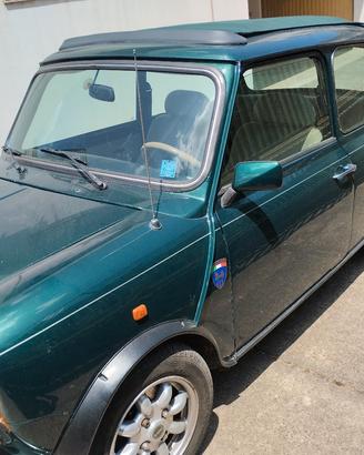 rover mini British open 