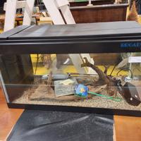 ACQUARIO GRANDE BROADWAY 990 