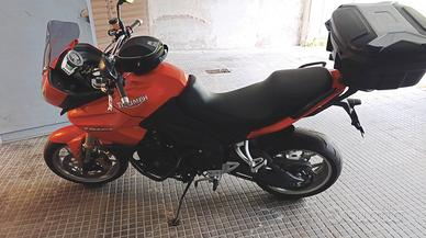 Triumph Tiger 1050 - 2008