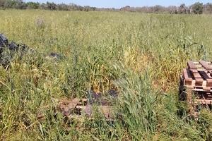 Terreno seminativo irriguo