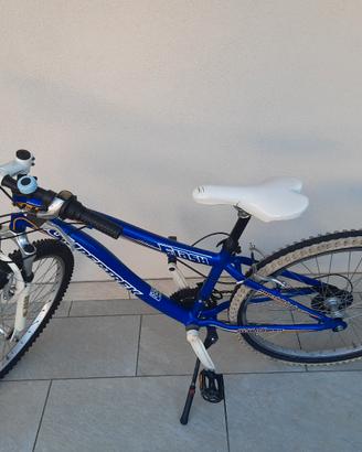 bicicletta per ragazzi 