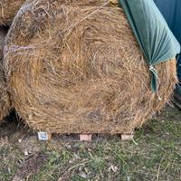 Balloni fieno 4q - 400kg per cavalli