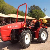 TRATTORE GOLDONI CON TRINCIA