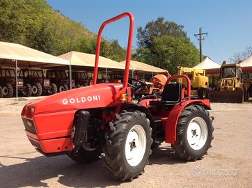 TRATTORE GOLDONI CON TRINCIA