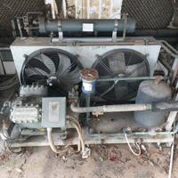 Motori Copeland per celle -20