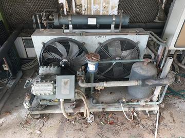 Motori Copeland per celle -20