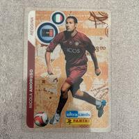 Panini Ultra Cards Football Stars 07-08 Reggina