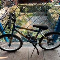 Bici 20 pollici Giannini