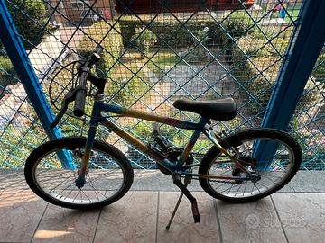 Bici 20 pollici Giannini