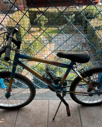 Bici 20 pollici Giannini