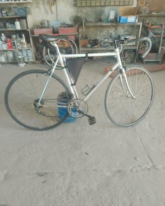 bici da corsa con accessori campagnolo 