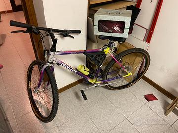 Bici da ragazzo