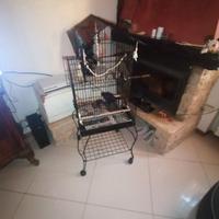 gabbia per pappagalli 