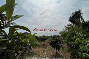 Terreno, Casteldaccia.