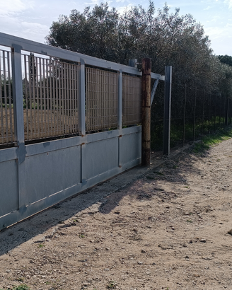 Terreno agricolo
