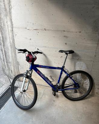 Bici mountain bike mtb