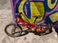 Immagine 3