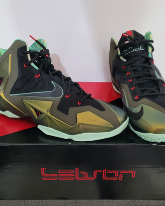 Nike Lebron King's Pride e felpa AIR Jordan Nike