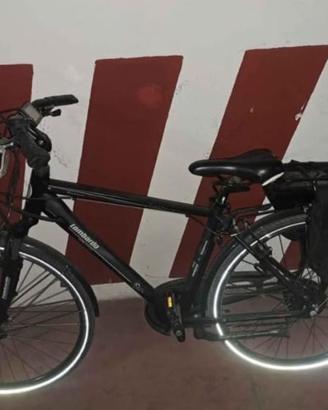 Bici elettrica uomo lombardo 350w