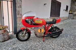 MV Agusta Mini Bike Racing anni '70