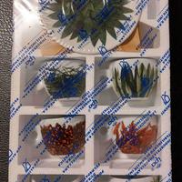 illy collection 2000 espresso Francis Ford Coppola