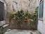 Immagine 14