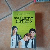 noi siamo infinito