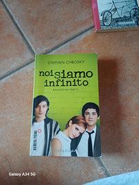 noi siamo infinito