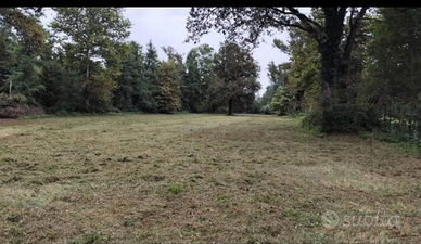 Terreno agricolo con alberi