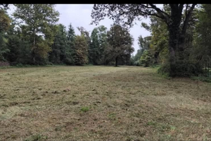 Terreno agricolo con alberi