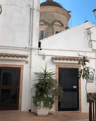 Locale commerciale/ristorante