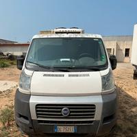 Fiat ducato coibentato
