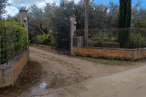 Casa con terreno in Contrada Albana 