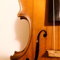 Violino di liuteria Petrit Kopsaj