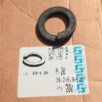 Ranelle elastiche grosse e spine lotto 5,5 kg