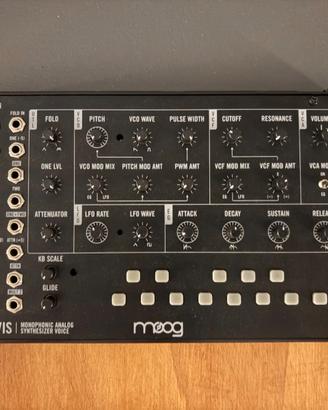 Moog Mavis sintetizzatore analogico monofonico