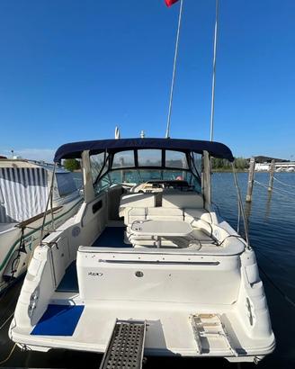 Sea ray 290