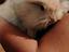 Immagine 2