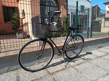 bicicletta da uomo